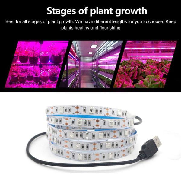 

grow lights 0.5m 1m 2m 3m 5m led light full spectrum 5v usb strip phyto lamps for plants greenhouse hydroponic growing