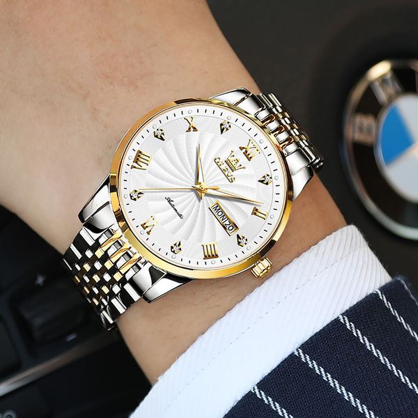 

men mechanical watches luxury brand automatic menstainless steel waterproof business watch relogio masculino 6630, Slivery;brown