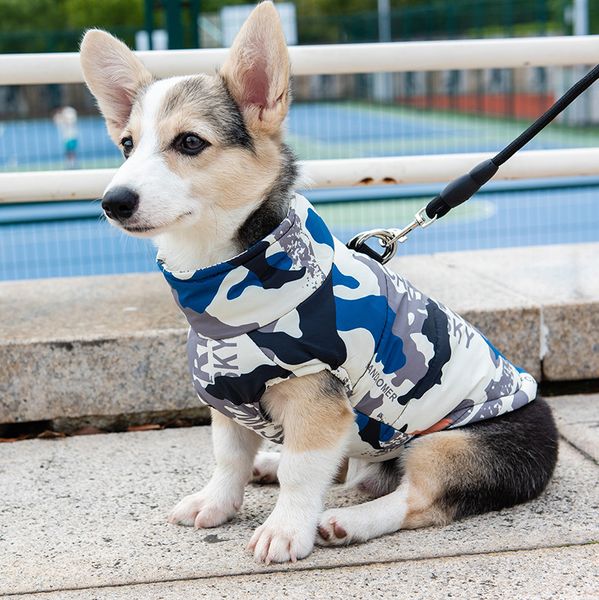 

dog cloth autumn and winter kerky warm teddy small dog golden haired chai medium large anti wool cotton