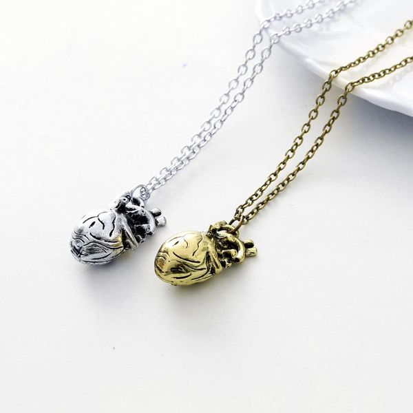 

pendant necklaces anatomical organ heart necklace for men in 2 colors physiology human charm, Silver