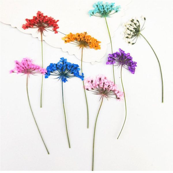 

decorative flowers & wreaths 12pcs dry flower diy epoxy resin handmade crafts filling materials filler dried time stone jewelry making desk