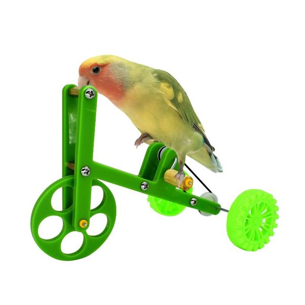 

other bird supplies parrots bicycle riding toy birds perch hanging swings fun safe intelligence train