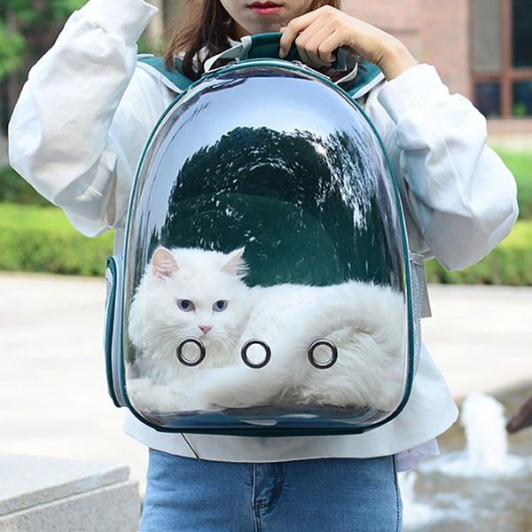 

cat carriers,crates & houses portable carrier bag breathable pet small dog backpack outdoor travel space cage transparent