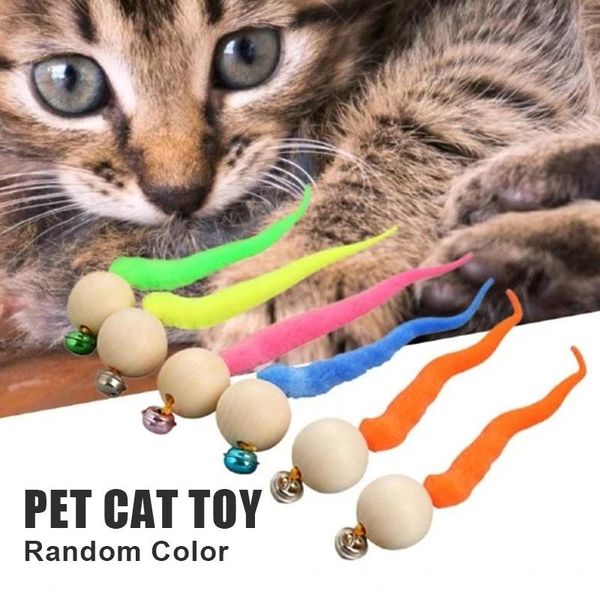 

cat toys chewing wooden ball wiggly tail bell sounding kitten bite _wk