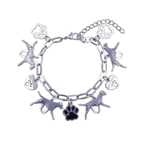 

anklets 2021 summer beach foot jewelry 16 styles stainless steel dog animal ankle chains unique women female gift a111, Red;blue