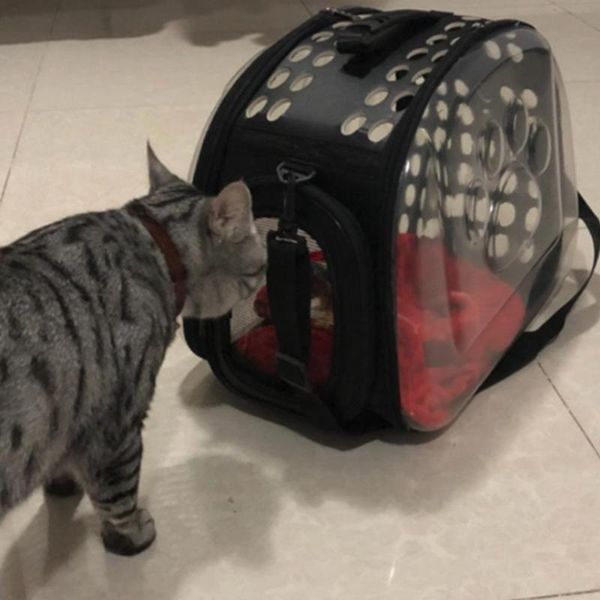 

cat carriers,crates & houses transparent package bag pet dog carrier travel cats bags outside backpacks portable