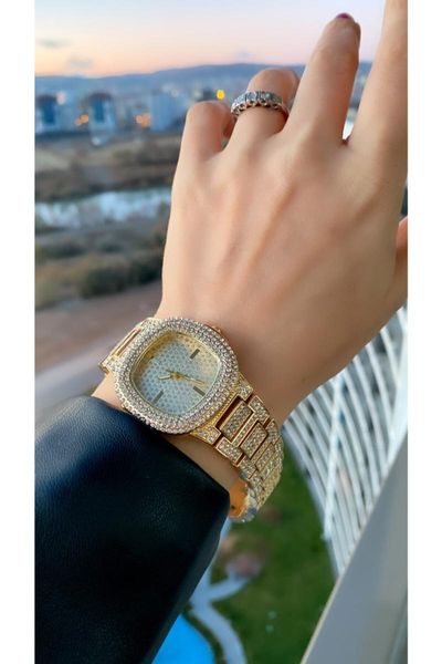 

wristwatches daniel ferucci women's steel stone analog classic wristwatch, Slivery;brown
