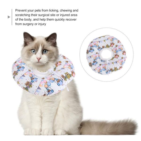 

cat collars & leads pet elizabethan collar premium recovery practical