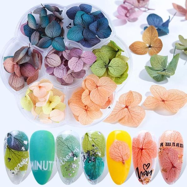 

box multi color dried flowers for nails decoration natural floral sticker mixed diy nail art accessories1, Silver;gold