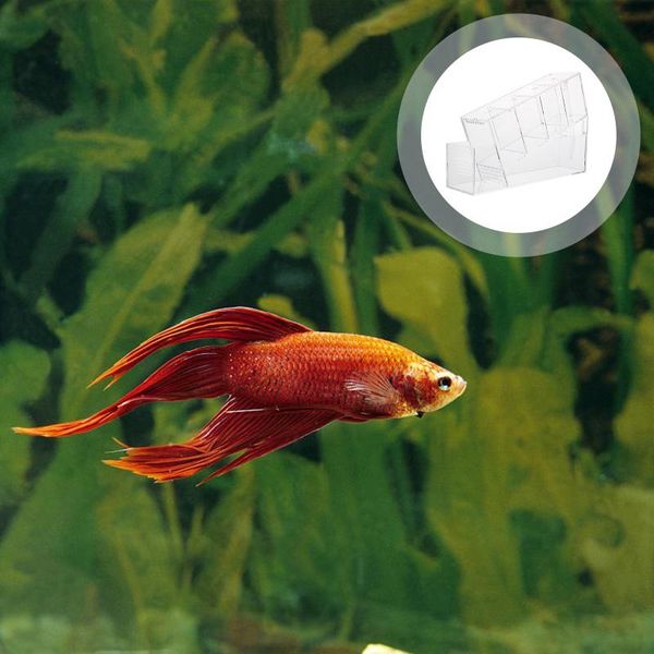 

aquariums 1pc isolation area betta fish tank aquarium acrylic desksmall