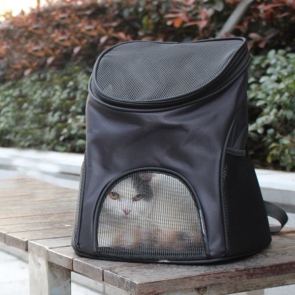 

outdoor trave pet cat carrier backpack for cats summer breathabe cat carrying bag goods for pets products mochia para gato