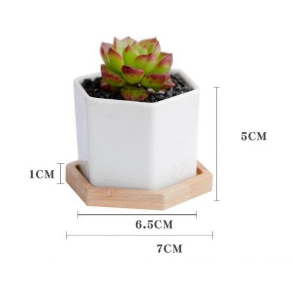 Cerâmica Bonsai Pots Mini Porcelana Branco Flowerpots Suculentas jardim Indoor Home Berçário Plantadores Sea Shipping KKB7103