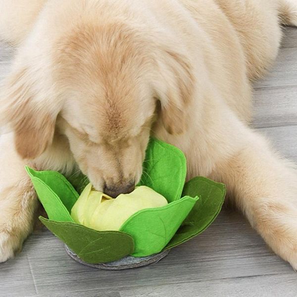 

dog toys & chews pet food smell cabbage ball interactive plush for dogs cats release stress intelligence suppliesa