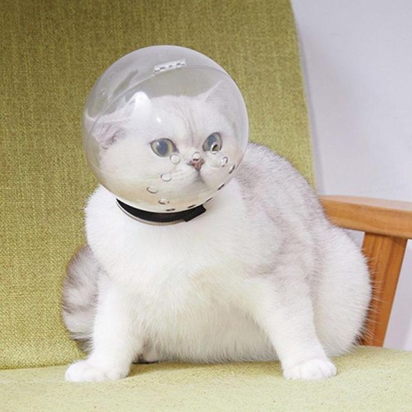 

cat costumes safety space hood anti-bite and anti-licking elizabeth pet headgear out convenient ring use carry supply g0r0