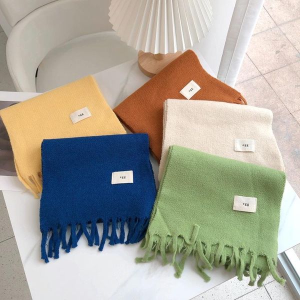 

scarves 2021 cotton lady big shawl imitation cashmere autumn and winter thickening warm pure color tassel scarf women, Blue;gray