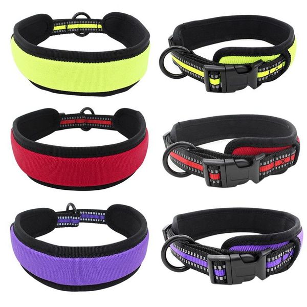 

pet dog collar led light night safety supplies insert buckle dogs reflective ribbon puppy necklace collars & leashes