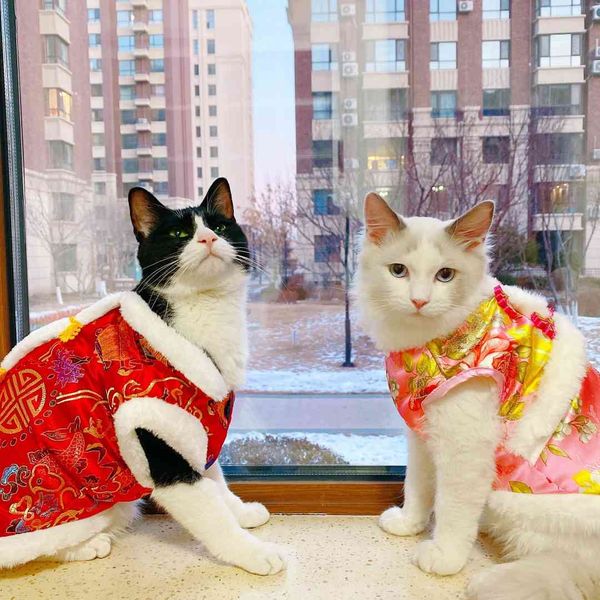 

cat year ftive cloth pet tang costume cheongsam dog year cat