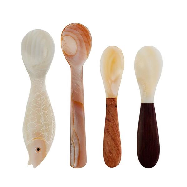 

spoons natural conch shell spoon caviar seashells coffee bag tablespoon
