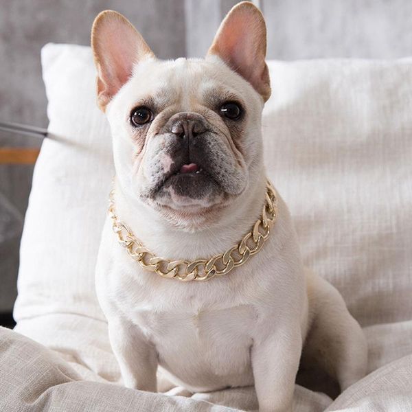 

fashion pet dog collars luxury gold bling puppy cat necklace plastic collar accessories products & leashes