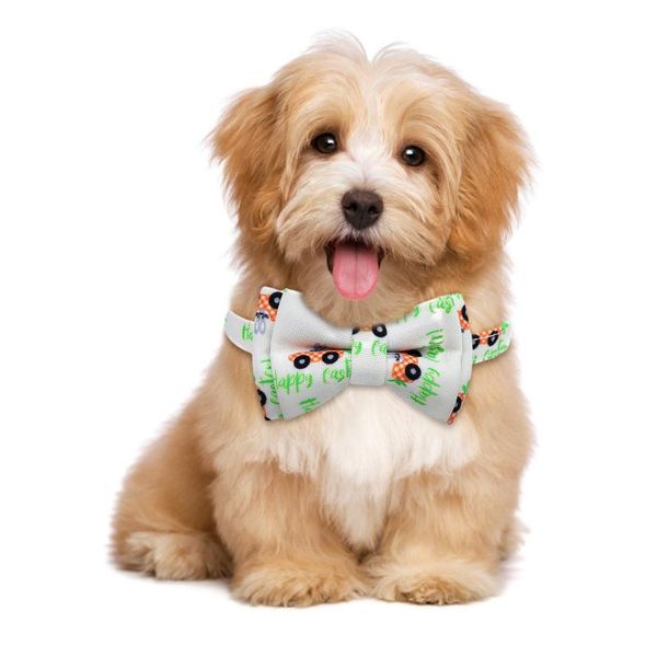 

cat collars & leads easter collar bowknot and bow with bell accessories gatos accesorios gato