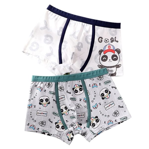 2 Teile/paket Große Jungen Unterwäsche Cartoon Dinosaurier Höschen Pack Baumwolle Schöne Panda Shorts Hose Teenager Gestreifte Unterhose 8 12 jahre 210622