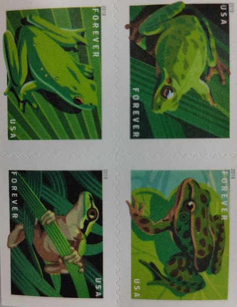 

100 usps 2019frogstamp sticker let you experience permanent fun different styles