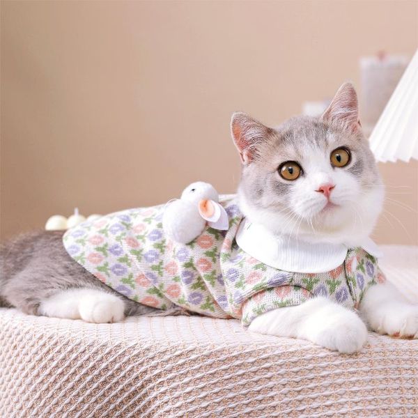 

cat costumes hoopet winter warm knitted clothing for cats super soft sphinx clothes small dog with decoration suppliers