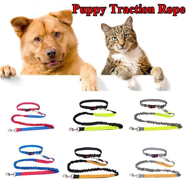 

dog collars & leashes retractable dogs leash elasticity hand reflective traction rope pet jogging pull metal d-ring