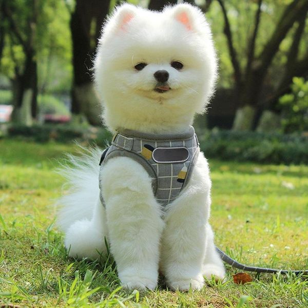 

dog collars & leashes reflective cat harness adjustable no pull puppy harnesses vest breathable yorkie teddy walking lead leash sets