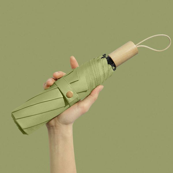 

simple and fresh folding umbrella for women