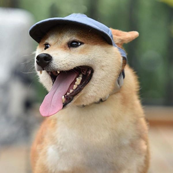 

dog apparel a cute summer pet hat cap outdoor baseball canvas small sunscreen accessories fashion hiking products s m l