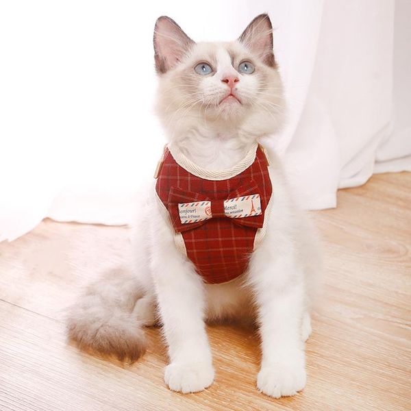 

cat collars & leads collar with bell vest type chest back small dog leash teddy pet supplies