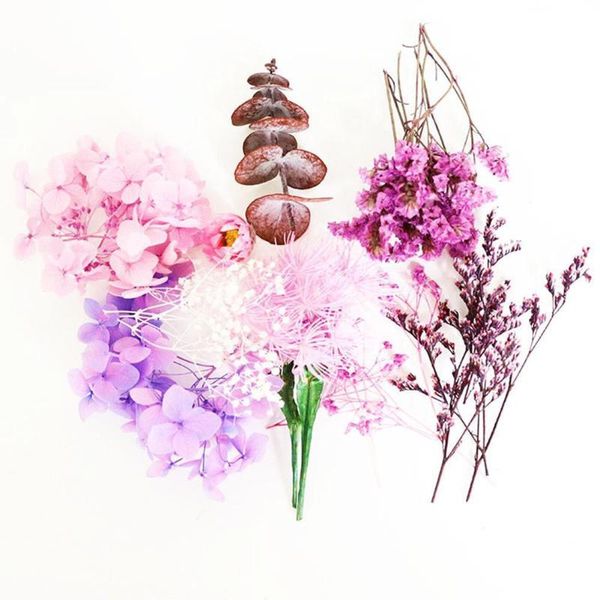 

real boxed dried flower material bag plant epoxy pendant party/wedding diy acce home decoration crafts necklace furnishing v0u3 decorative f
