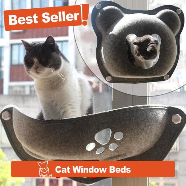 

funny cute cat bed house window cave cats pet products accessories things beds for hammock suction cup fixed & furniture