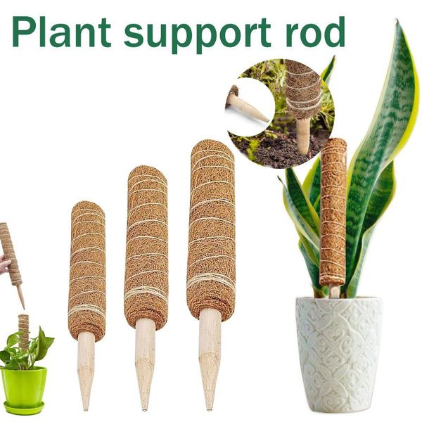 

other garden supplies plant support coir totem pole climbing plants stick office extension coconut fiber creeper trelli frame maintain moist