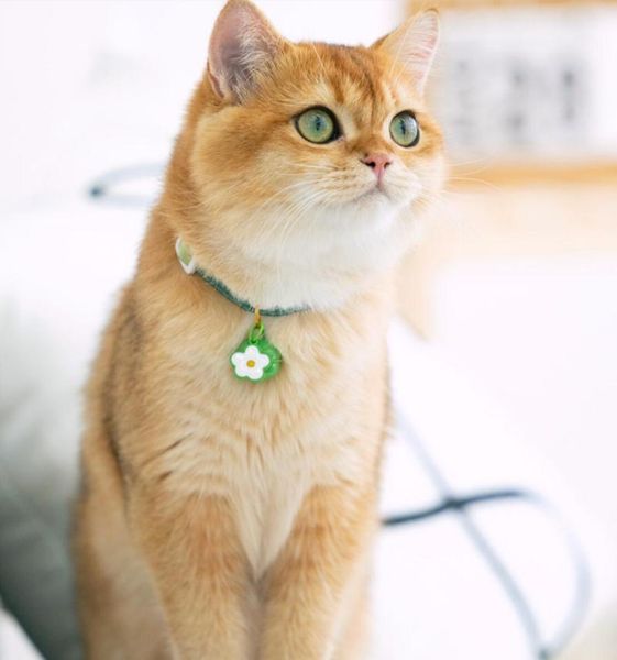 

cat costumes circle collar flowers dog bandana pet supplies collars cotton bow