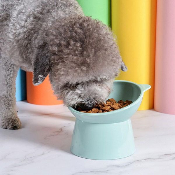 

cat bowls & feeders dog bowl for dish,dog bowl,cat feeder,dog water