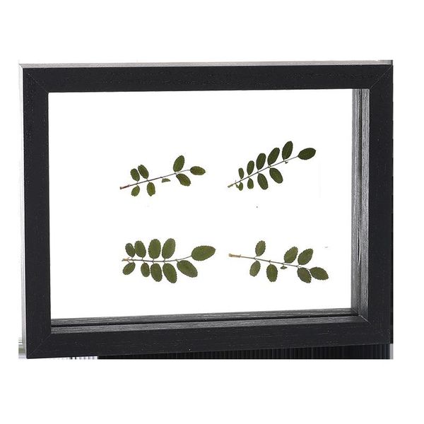 

double-sided glass po frame plant specimen 5 inch 6 7 8 a4 swing table frames