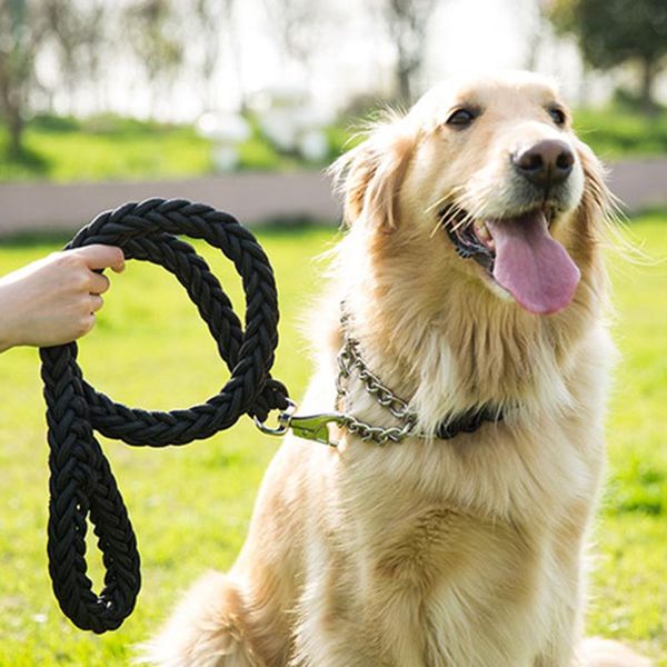 

double pet dog collars leashes set nylon big leash for medium large dogs golden retriever pitbull lead adjustable collar &