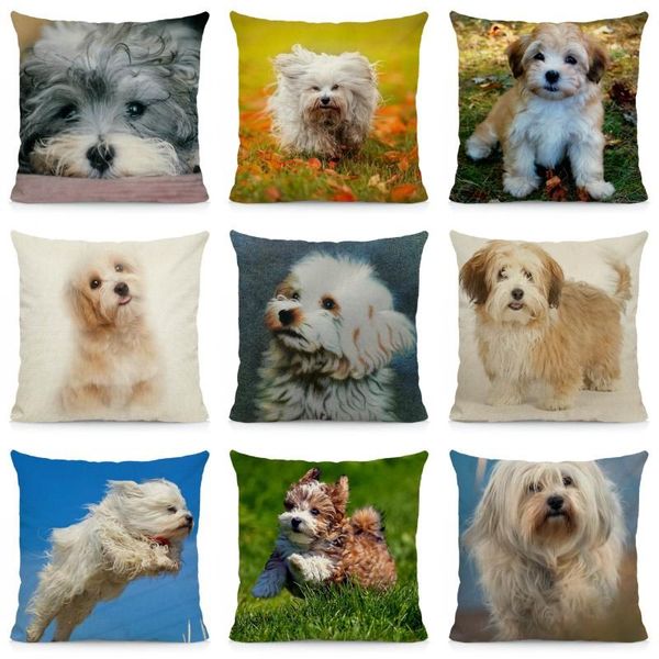 

cushion cover 45x45 havanese pillow case home decoration dog pattern dwg043 cushion/decorative