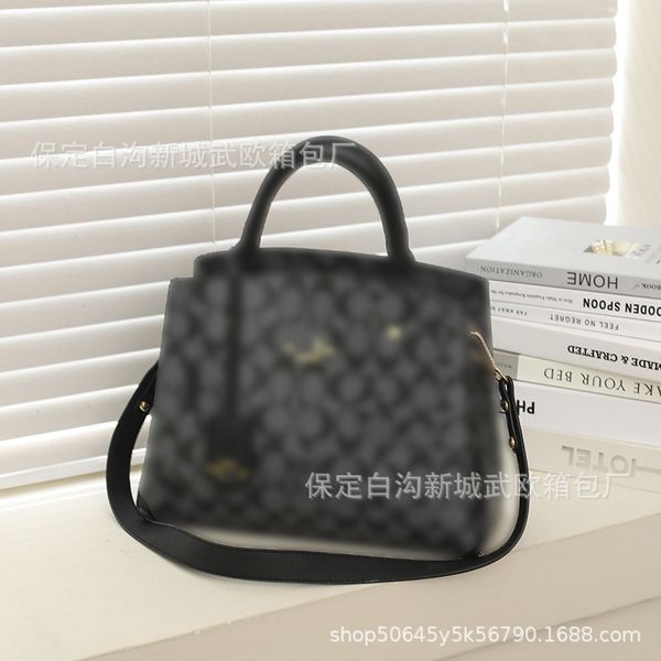 

luxury design new fashion luxury handbag messenger bag multi-color options purses