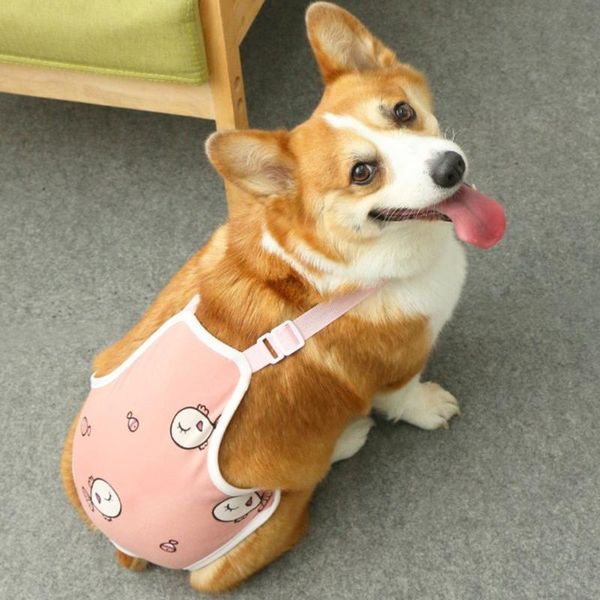 

dog apparel female shorts washable diapers suspenders physiological pants underwear sanitary panties for small medium girl dogs