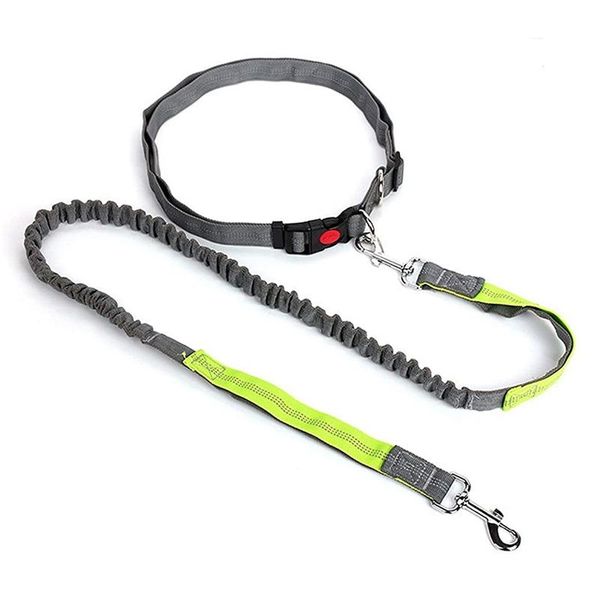 

dog collars & leashes hands leash, retractable running elastic bungee belt,jogging lead with waist belt