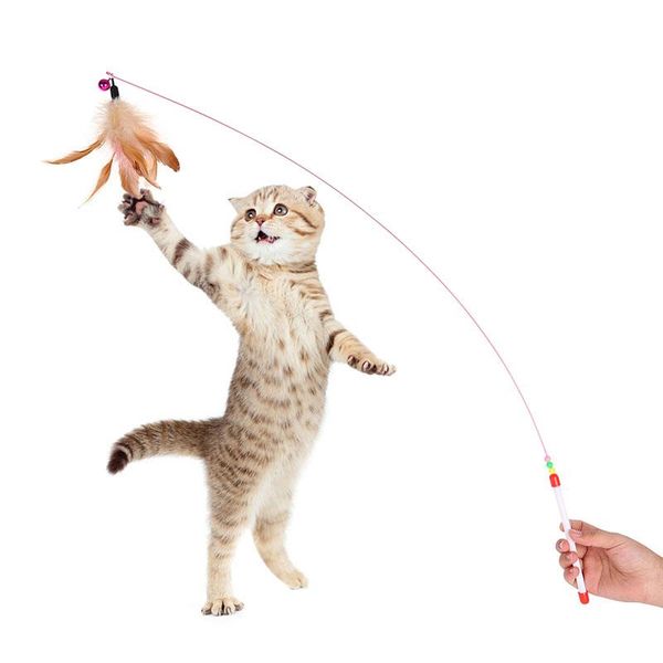 

16pcs/lot toys for cat pet feather catnip ball rings cats interactive products gift