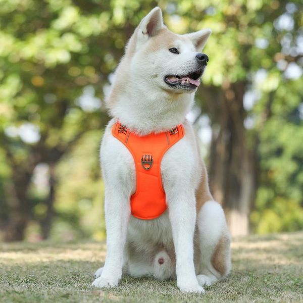 

dog collars & leashes comfortable durable harness medium and large dogs training explosion-proof vest harnesses