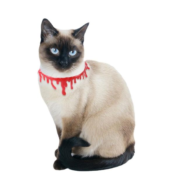 

cat costumes bleeding necklace jewelry dog halloween ornaments costume pet clothes