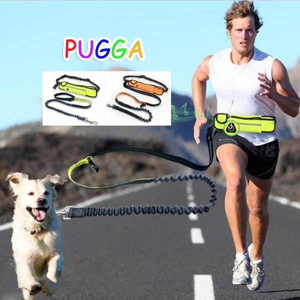 

nylon waist pet dog leash running jogging puppy collar adjustable for daily walking accessories waterproof pockets collars & leashes