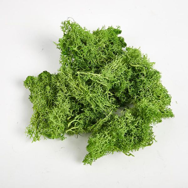 

decorative flowers & wreaths artificial green plants eternal life moss grass home living room garden decoration mini landscape fake flower d