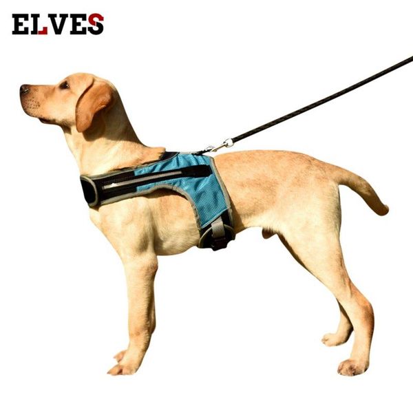 

colori k-shaped luminous led harness for pet dog chest medium and large night travel safe collar collars & leashes