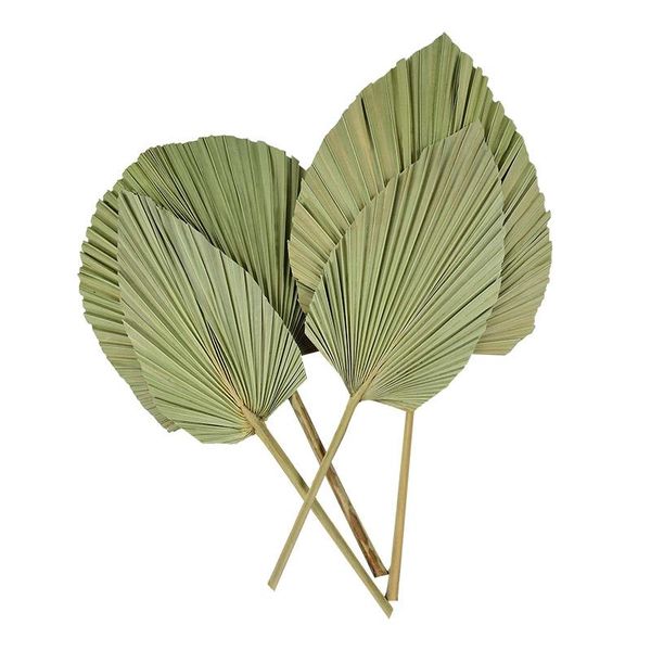 

decorative flowers & wreaths 1pc natural palm fan leaf dried flower window reception party art wall hanging decoration wedding arch arrangem
